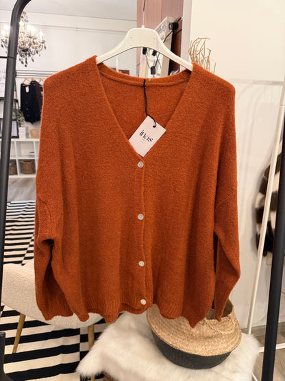 Alpaca Cardigan