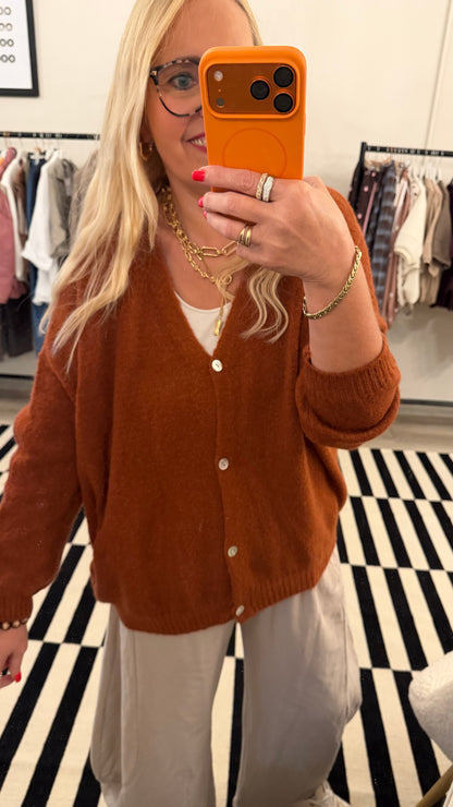 Alpaca Cardigan