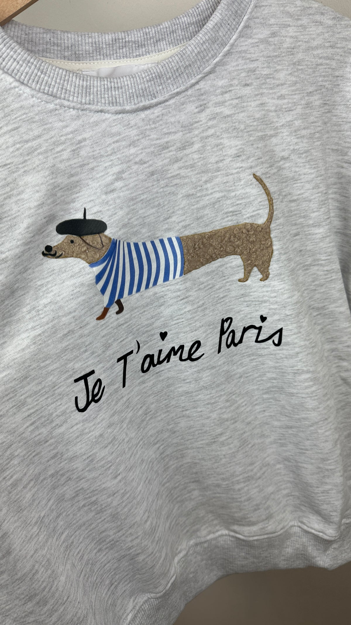 Sweater Sausage Dog