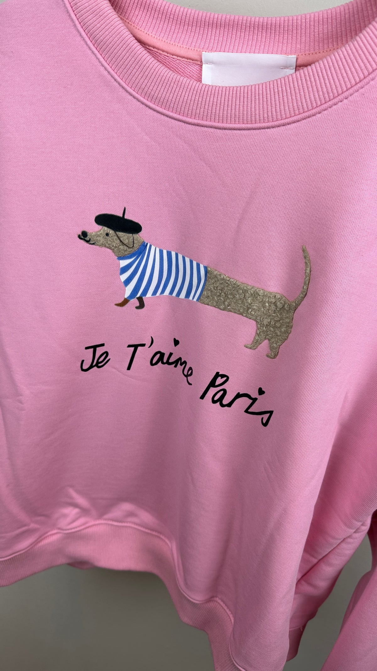 Sweater Sausage Dog