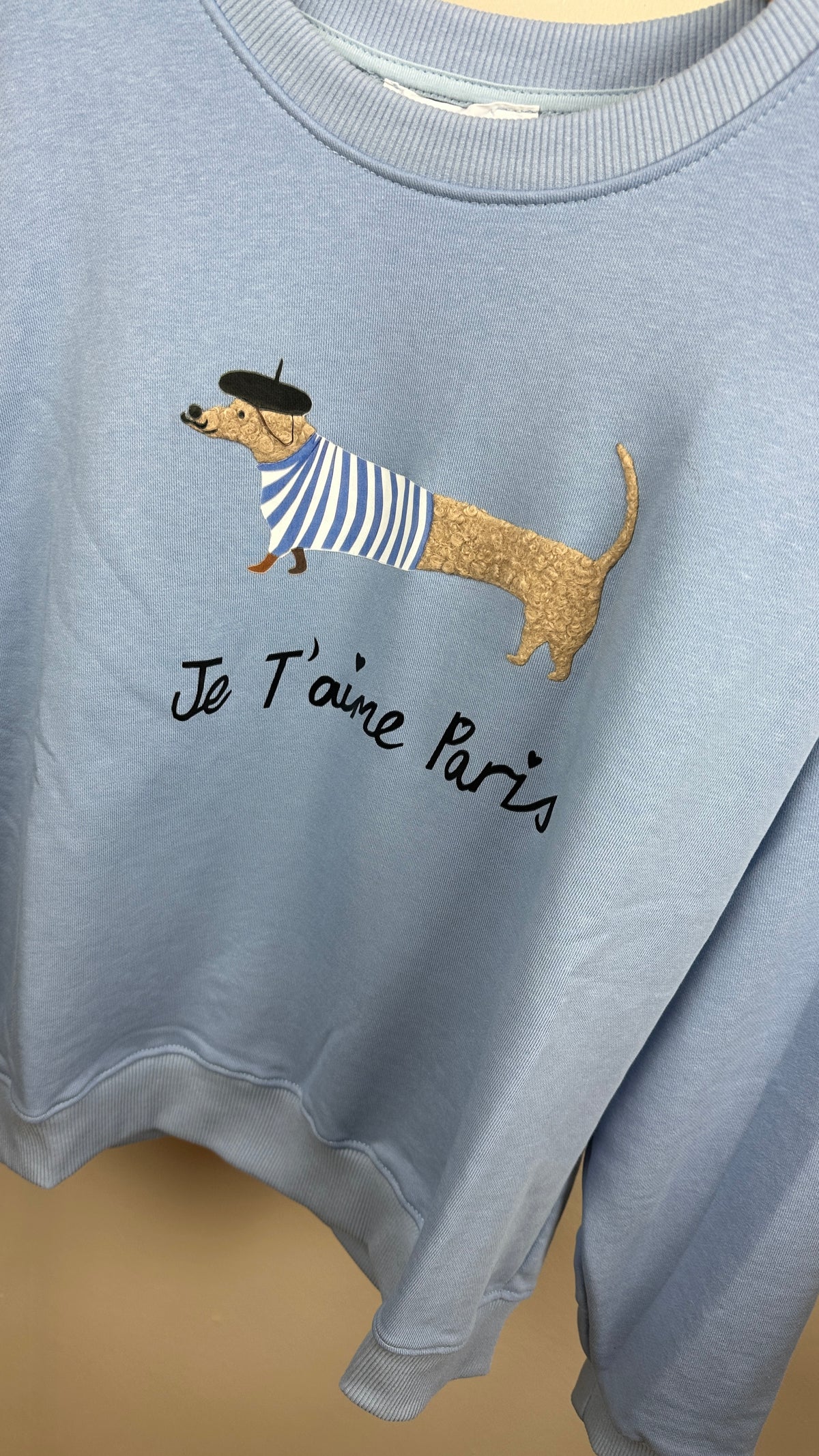 Sweater Sausage Dog
