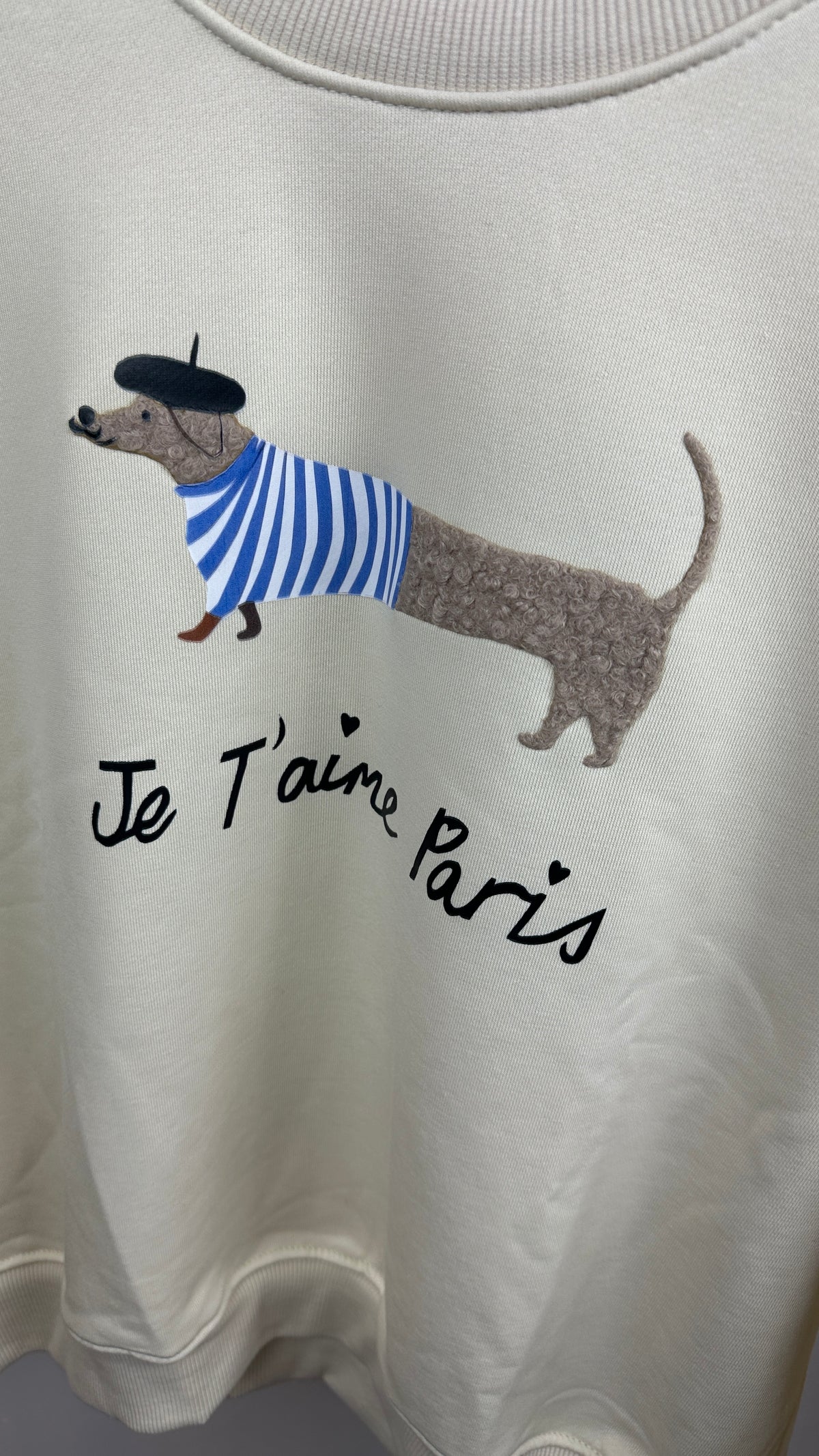 Sweater Sausage Dog